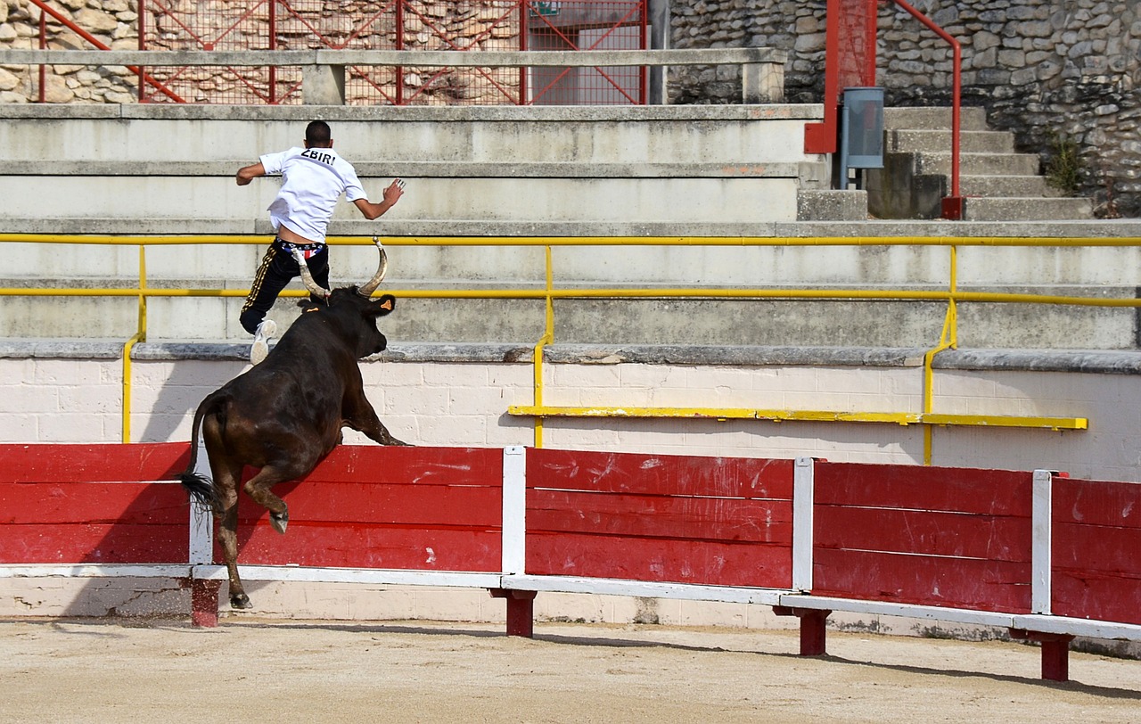 哈特与尼克